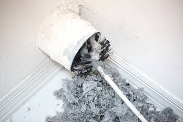 Best Affordable Duct Cleaning Services  in George Mason, VA